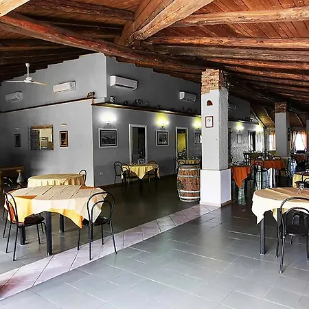 Funny Village Dog Friendly