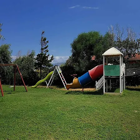 Funny Village Dog Friendly