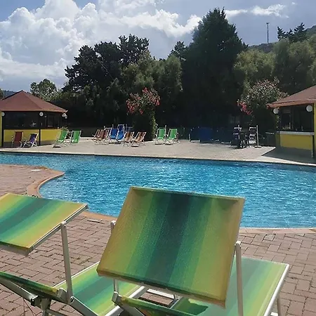 Funny Village Dog Friendly